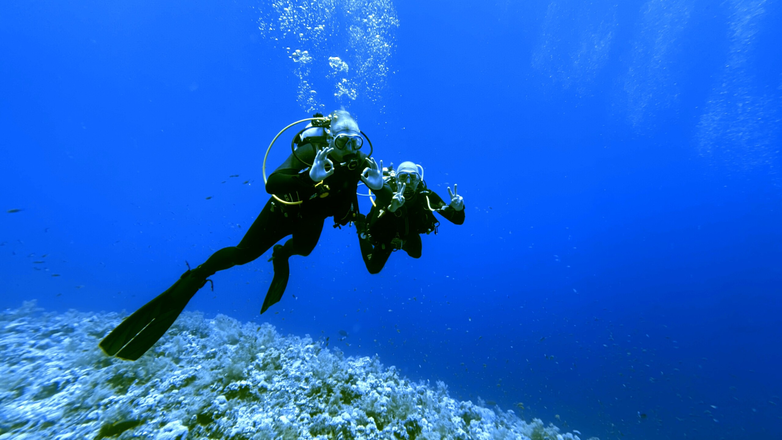 Open Water Diver (OWD Taucher*)